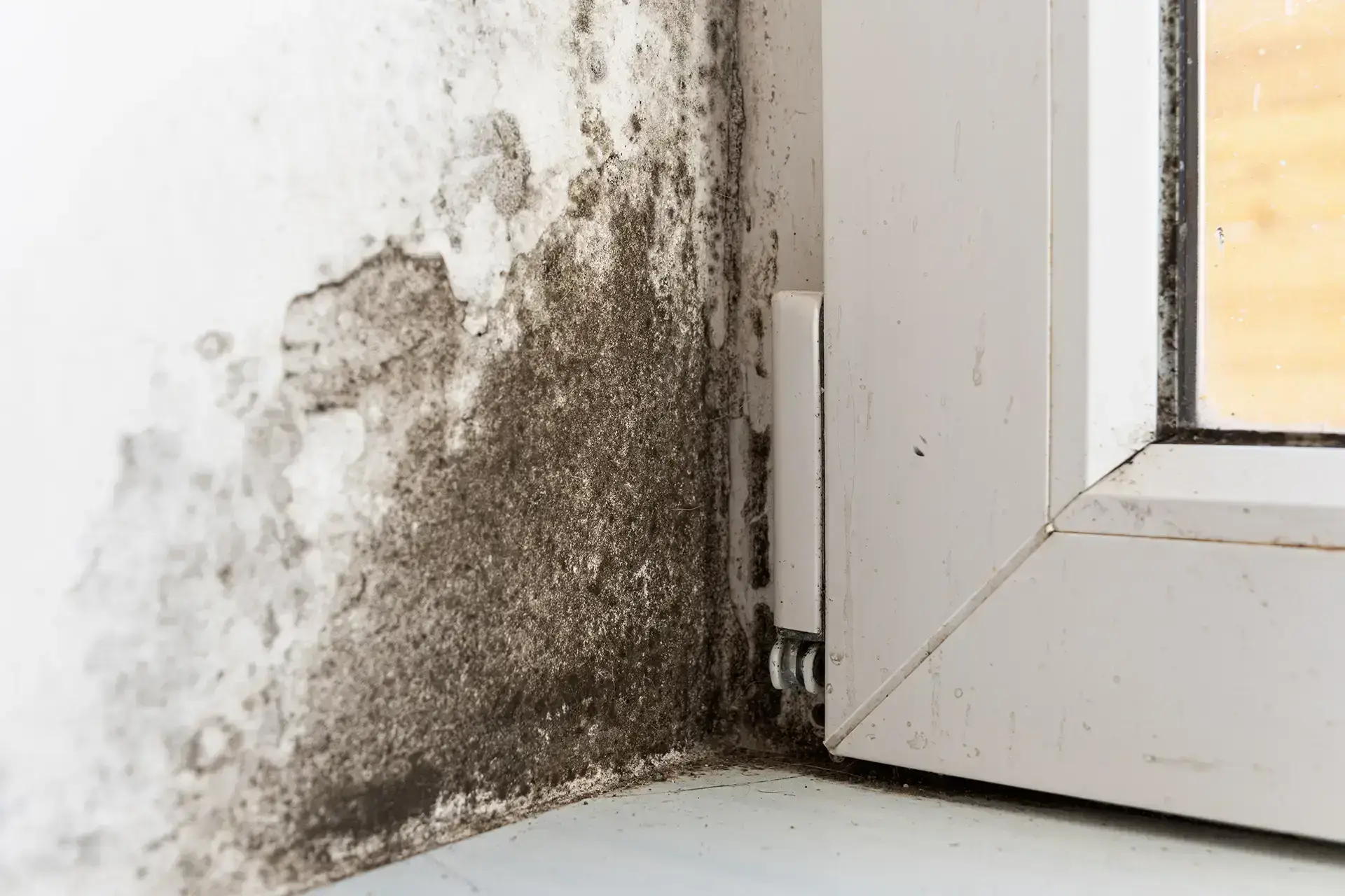 Leading Water Damage Restoration Company in Centennial — Centennial, CO